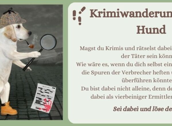 🐕 Krimiwanderung mit Hund: Mord über Board