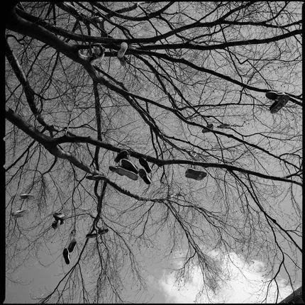 Strdwk – Foto 7