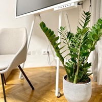 Gallery Foto