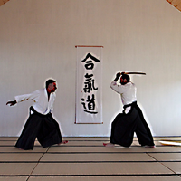 Gallery Foto