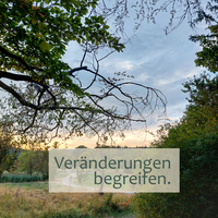 Gallery Foto