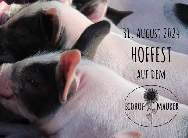 Hoffest beim Biohof Maurer