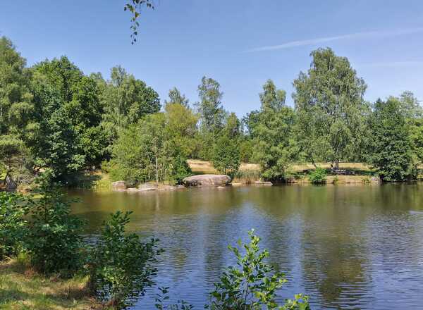 Sanftes Yoga und Yin Yoga für Frauen jeden Alters