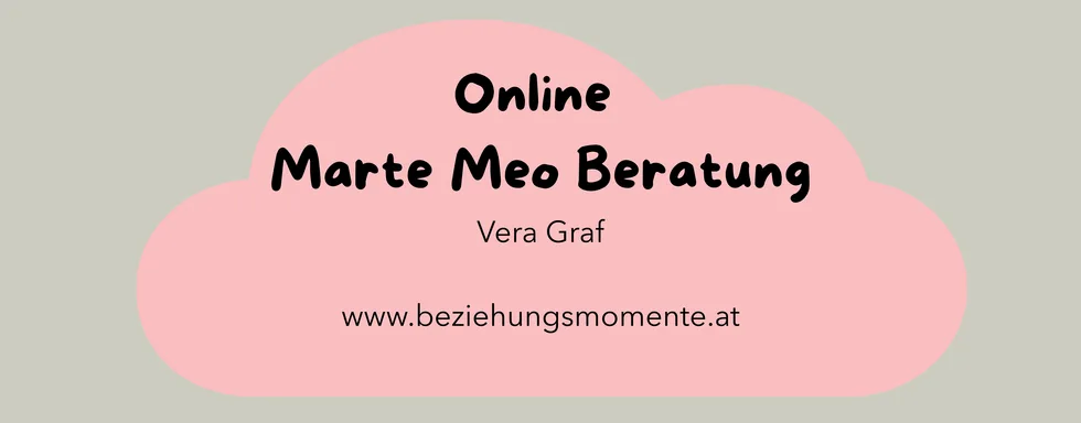 Online Marte Meo Beratung für Eltern – Foto 1