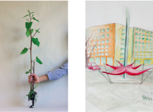 philomena+ Gartenfest mit Alaa Abu Asad und Oscar Cueto