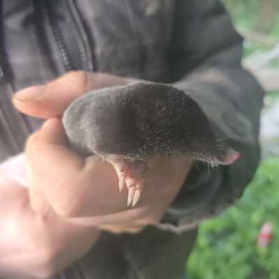 Mitglieder für Mini Selbstversorger Hof gesucht