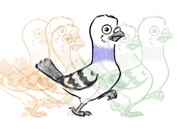 Animation in Procreate