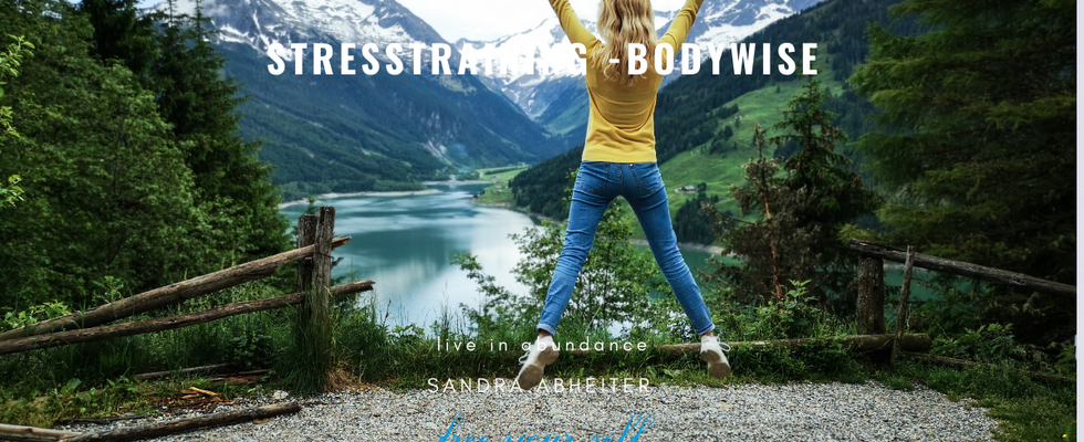 Workshop : Stressfrei gestresst sein!