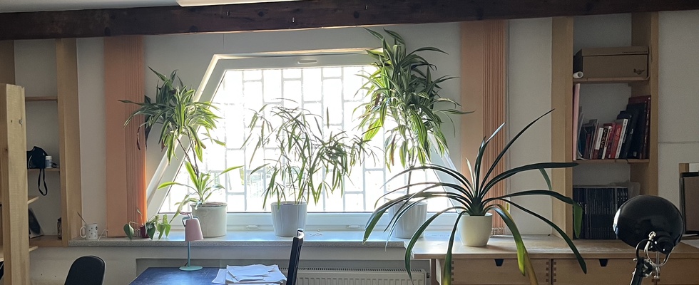 freier Platz in schönem, hellen ~29m² geteilten Atelierraum ab Juni 2026