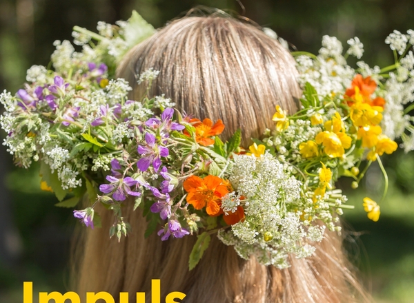 21 Tage Midsommar Begleitung Online