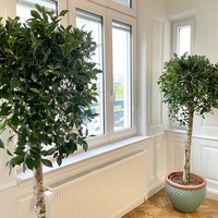 Gallery Foto