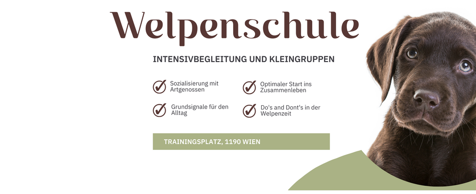Welpenschule 1190