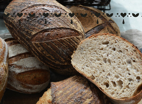KOSTBROT Backworkshop 