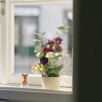 Gallery Foto
