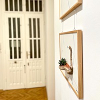 Gallery Foto