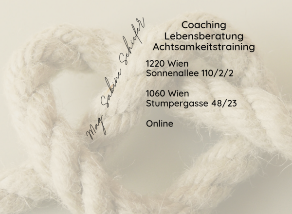 Systemisches Coaching Sabine Schiefer 