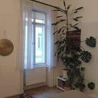 Gallery Foto