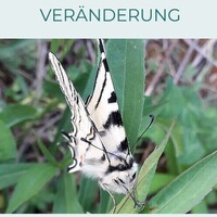 Gallery Foto