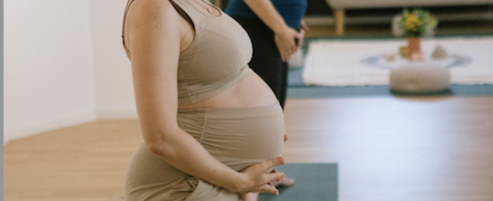 Mini-Retreat for Pregnant Women in Vienna