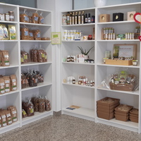 Gallery Foto