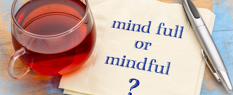 Meditation für Beginner und alle, die gerne gemeinsam meditieren