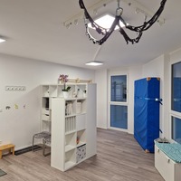 Gallery Foto