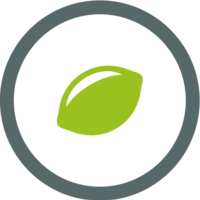 Webagentur LIMESODA