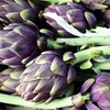 Monte Ofelio Alimentari