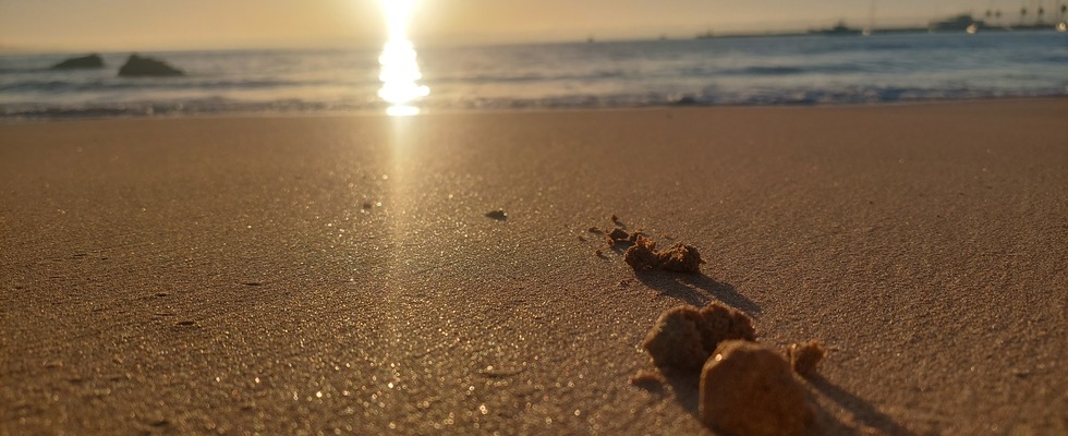 IN VERBINDUNG SEIN | Übergänge