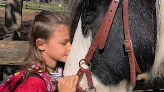 Zauberpferd&Wunderkind – Foto 1