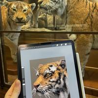 Gallery Foto