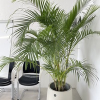 Gallery Foto