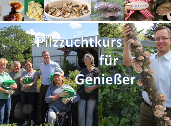 Zuchtpilze mit Heilwirkung