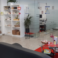 Gallery Foto