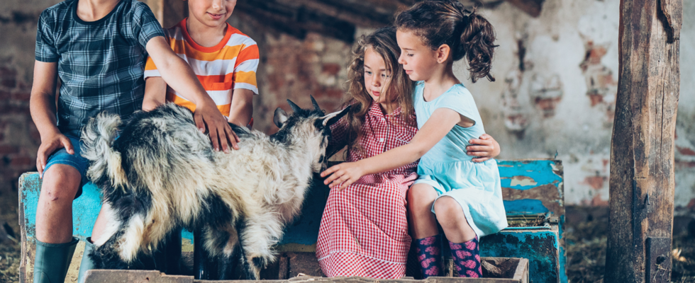 Seminarbäuerin Sonja Zeiml