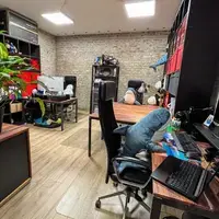 Gallery Foto